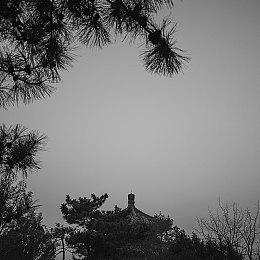 恐怖游戏爱好者福音 夏季游戏节上将展示多个恐怖游戏